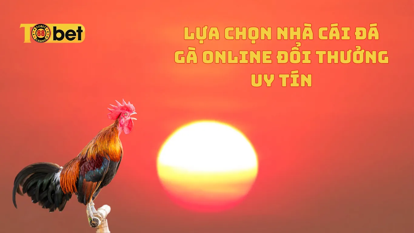 Tobet88 là lựa chọn nhà cái đá gà online đổi thưởng uy tín