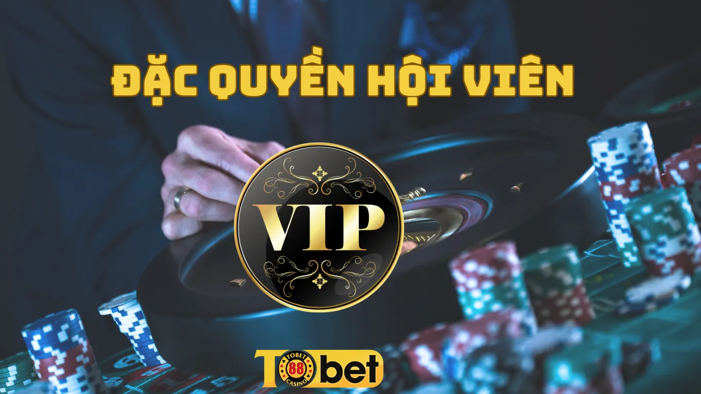 Đặc quyền hội viên VIP tobet88.icu