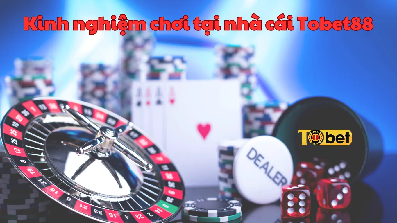 Kinh nghiệm cá cược tại Tobet88 cho người mới